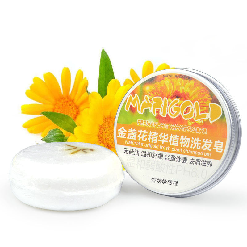 Ginger Skin Care Shampoo Conditioner Essential Oil Soap Nourishing Ginger Skin Care Shampoo Conditioner Essential Oil Soap Nourishing